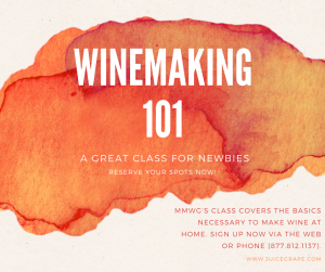 winemaking 101