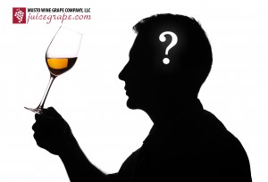 Wine expert testing wine silhouette image