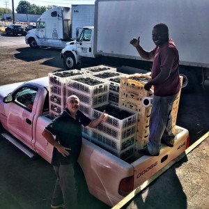 robby loading frank's truck