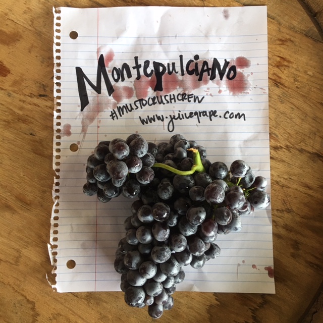 montepulciano