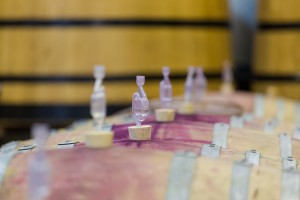 The process of making wine in a winery in south africa