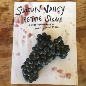 suisun petite sirah