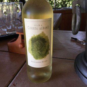 VinaCorreaAlbanoSauvignonBlanc_preview.jpeg