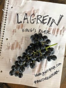 Lagrein grape_Musto Wine Grape_Winemaking_Winemaker_Home Winemaking_How to Make Wine