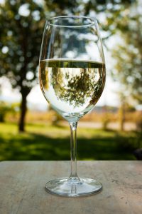 white wine-winemaking-musto wine grape