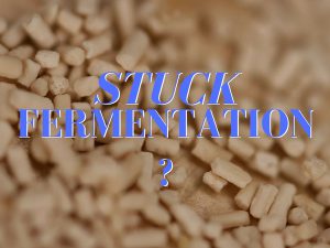 stuck wine fermentation-how to make wine-musto wine grape