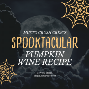 pumpkin-pumpkin wine-winemaking-fall-fall wine-fall winemaking-musto wine grape-recipe-winemaking recipe-wine recipe