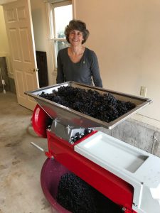 winemaker bootcamp-winemaking-home winemaking-how to make wine-musto wine grape-winemaker bootcamp testimonial