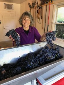 winemaker bootcamp-winemaking-home winemaking-how to make wine-musto wine grape-winemaker bootcamp testimonial