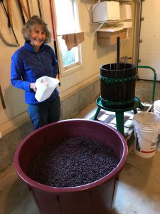 winemaker bootcamp-winemaking-home winemaking-how to make wine-musto wine grape-winemaker bootcamp testimonial