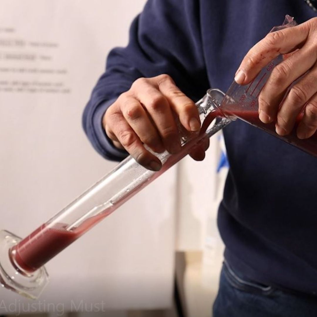How to Avoid a Stuck Fermentation during the Spring Wine HarvestMusto