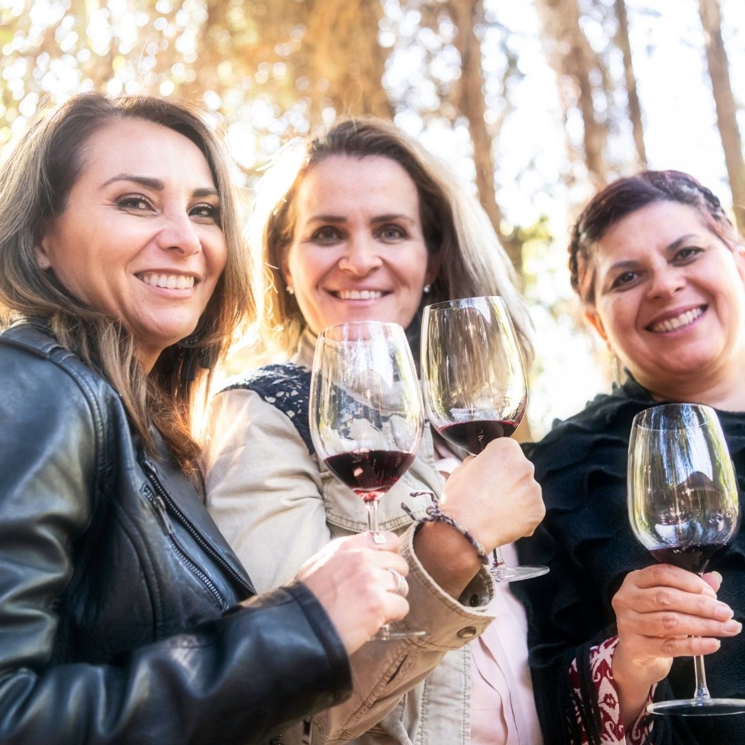 How to Host a Wine Tasting at Home or Virtual for Home WinemakersMusto