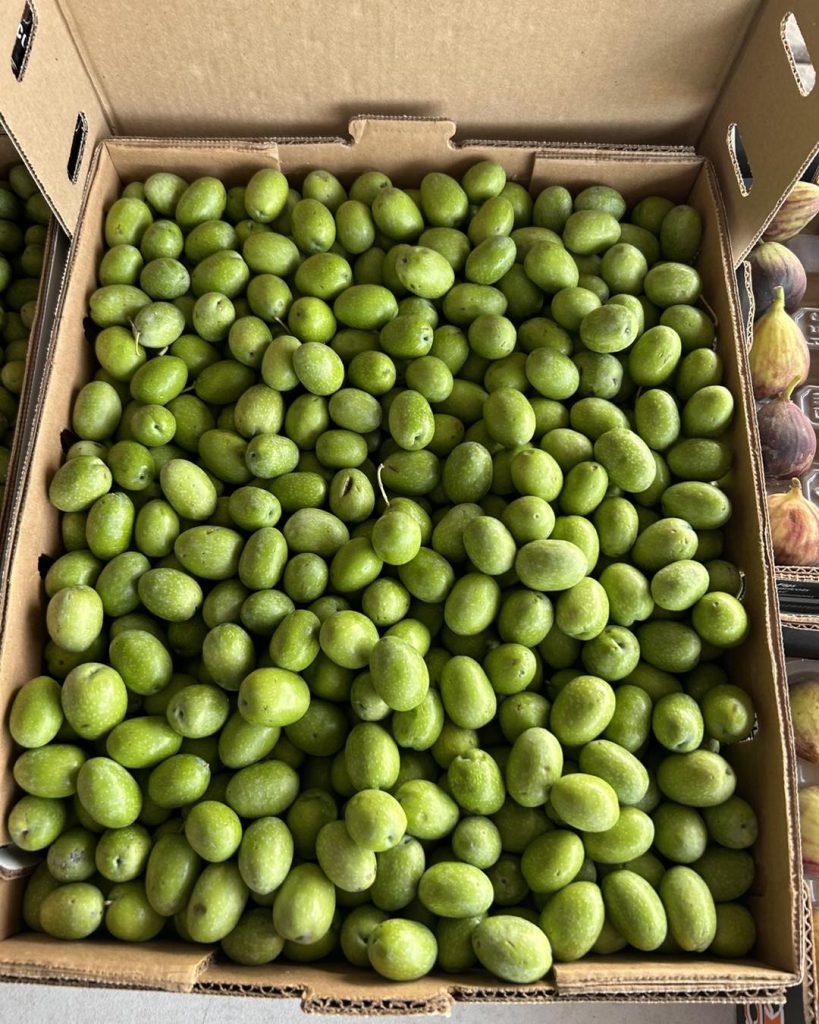 4 Spanish Olives We You Need to Know