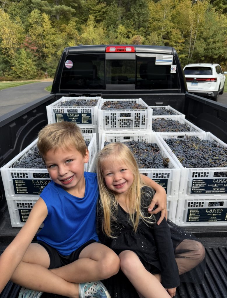 home winemaking